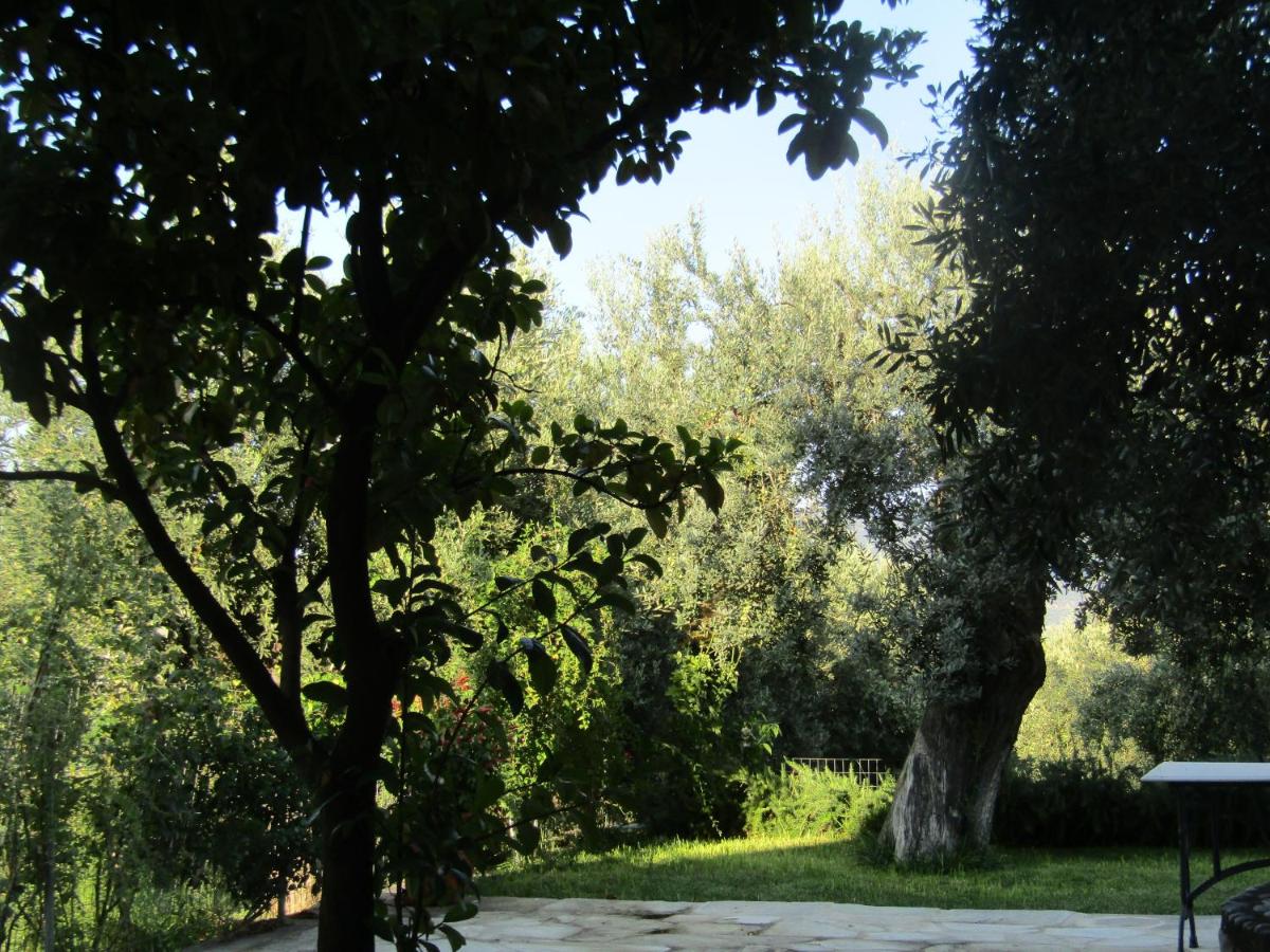 Ta Pitharia - Housity