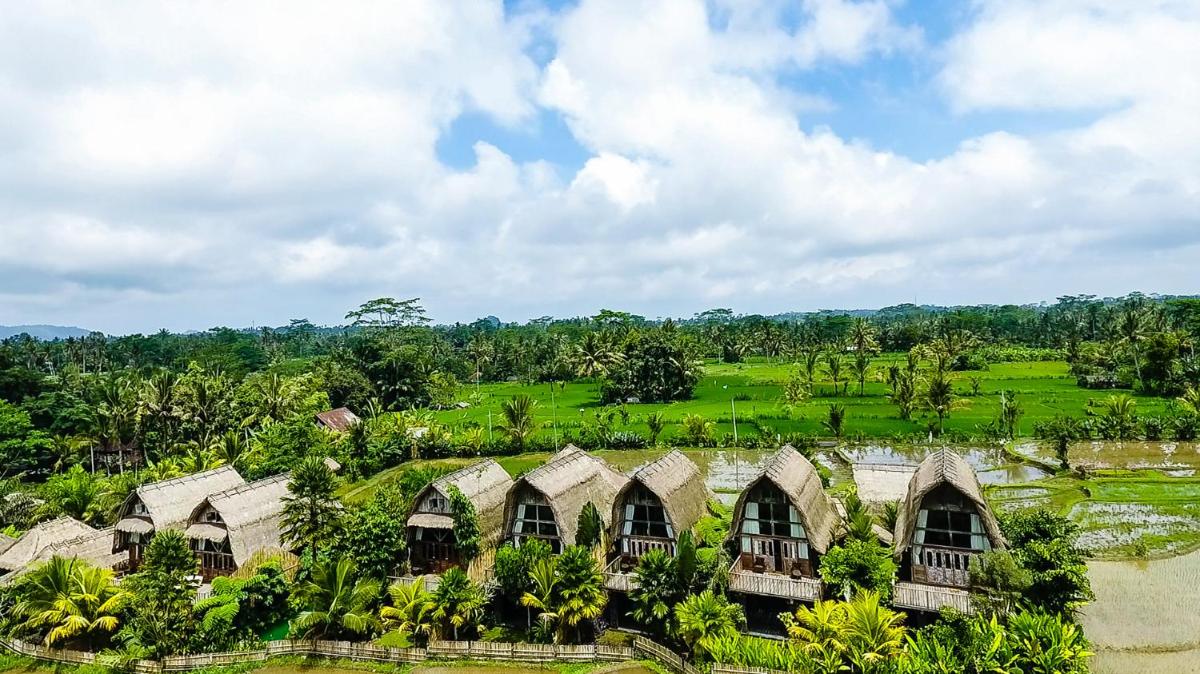 De Klumpu Bali Eco Tradi Stay - Housity