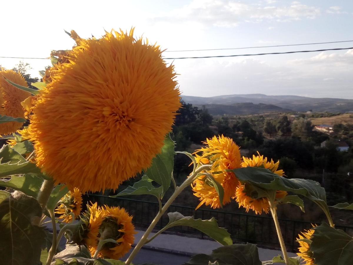 Casa Rural Mimbrero - Housity