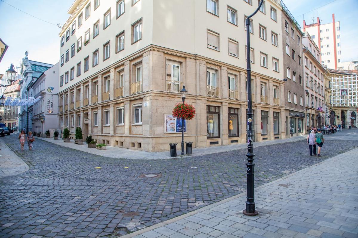 Downtown pedestrian zone apartment - Hizvo