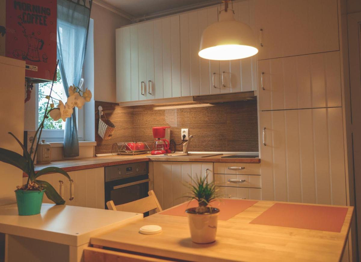 Comfy Apartment - Hizvo