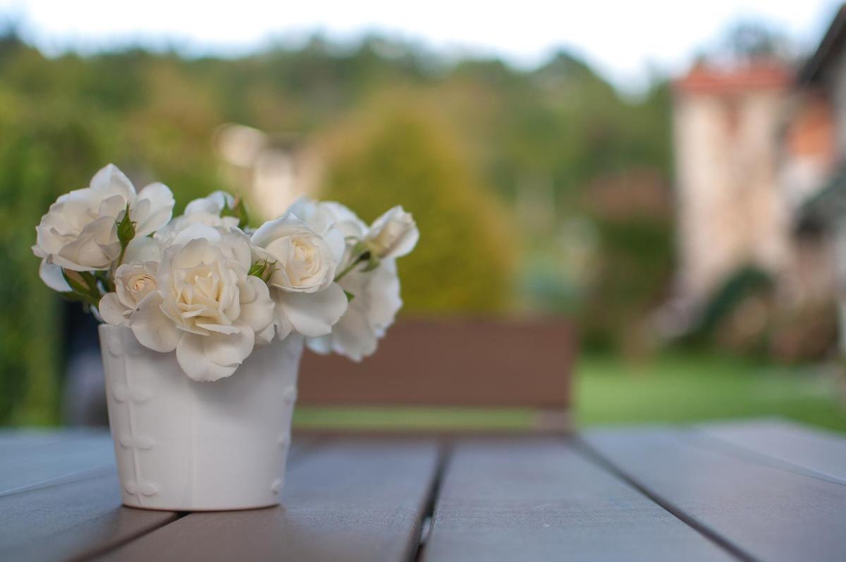 Il giardino segreto - SPORT & RELAX - Housity