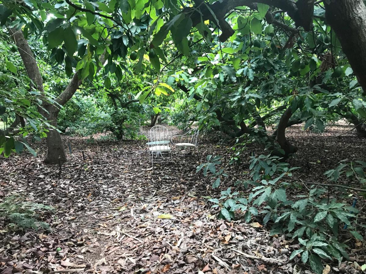 Finca El Vergel Rural - Housity
