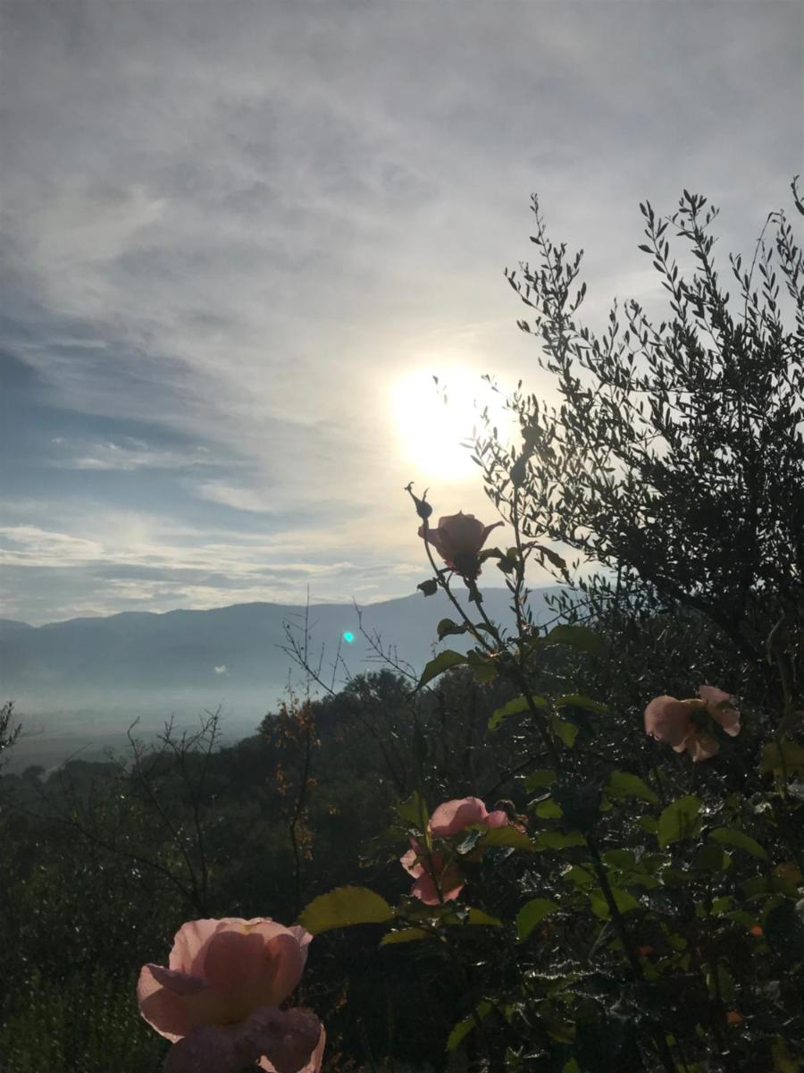Casa Vacanze Vecciano - Housity