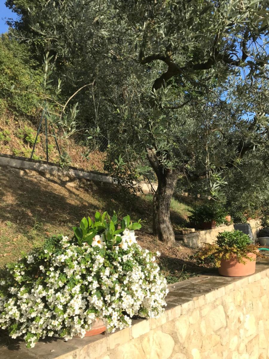 Casa Vacanze Vecciano - Housity