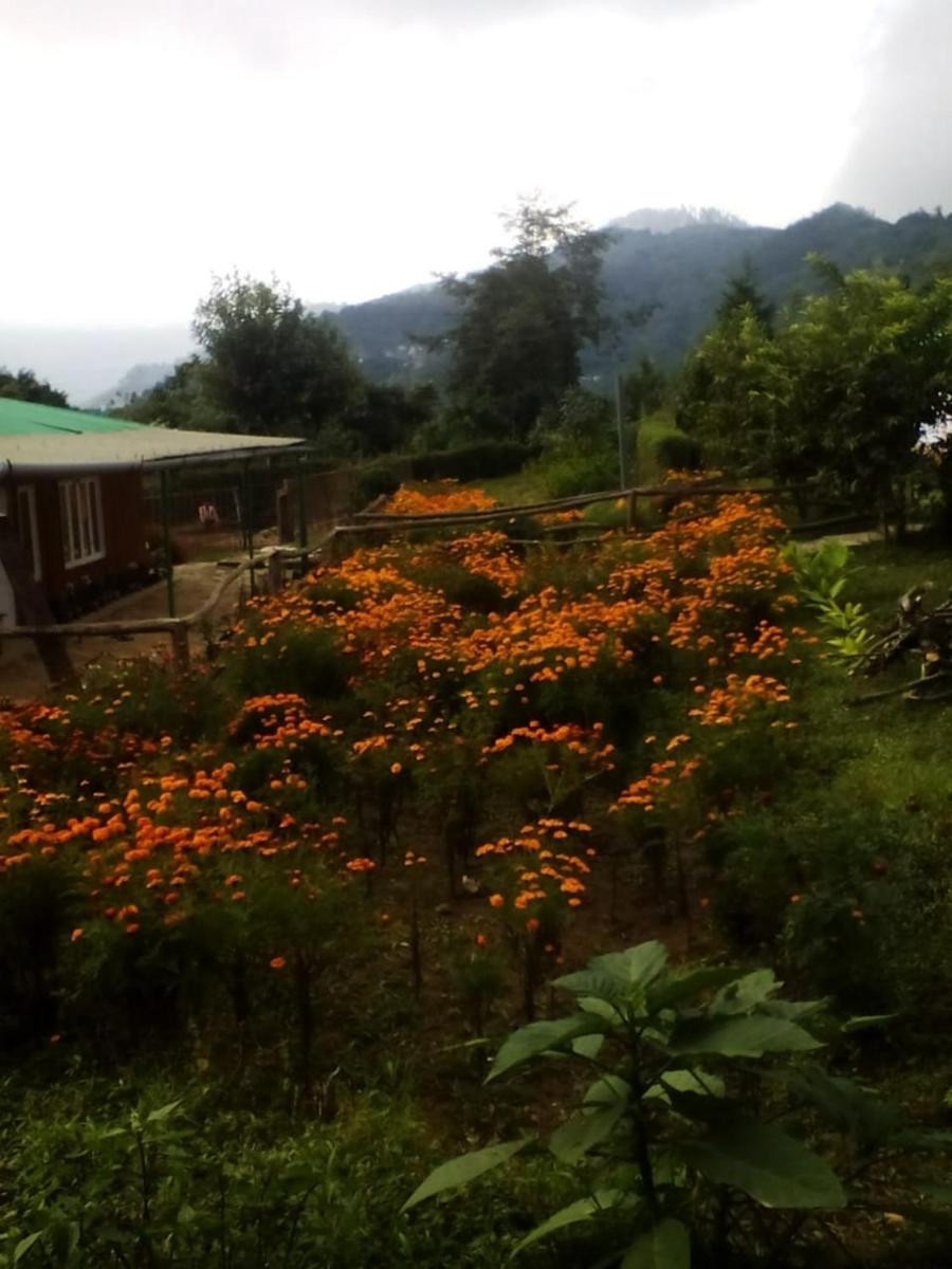 Vamoose Dilpali Homestay - Housity