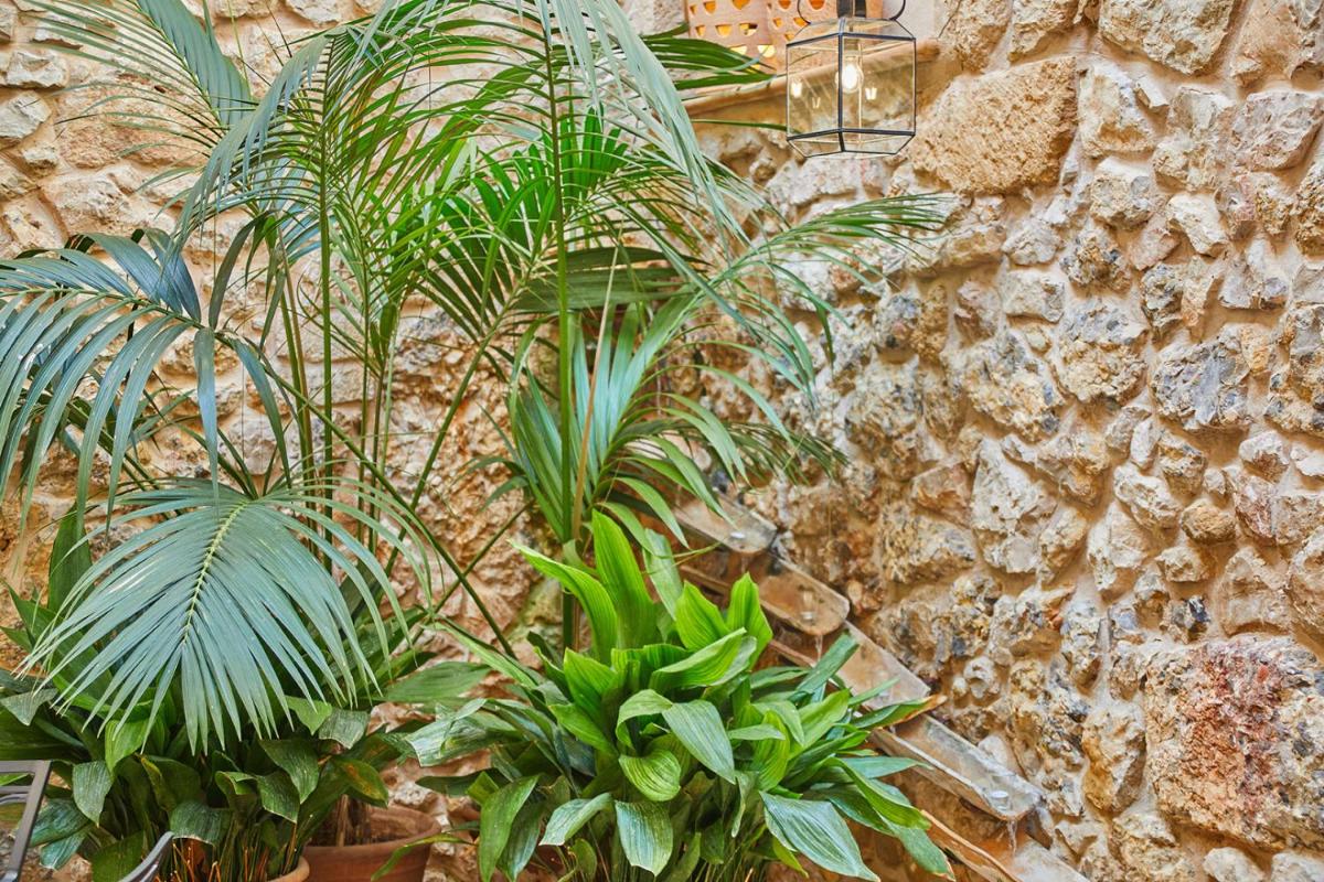 Jardín al aire libre en Cas Comte Suites & Spa - Adults Only