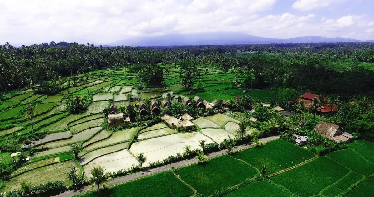 De Klumpu Bali Eco Tradi Stay - Housity