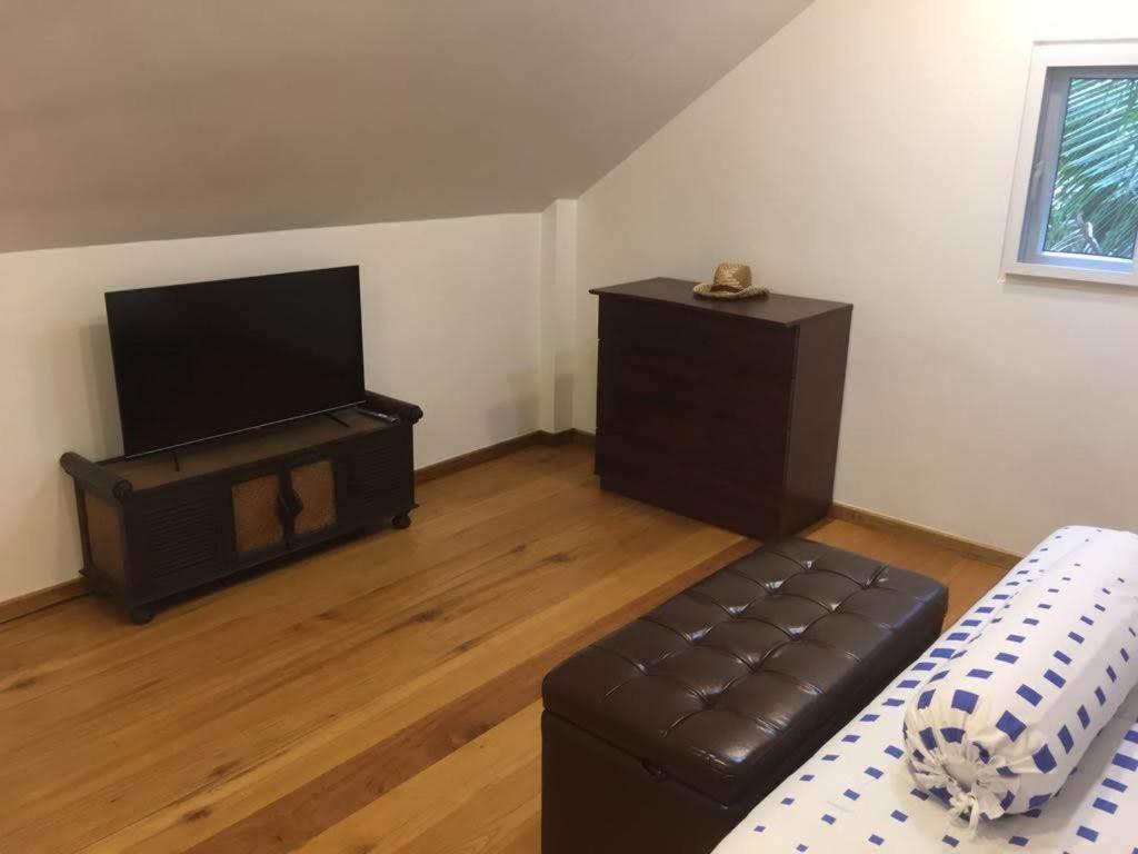 Jungle View Suite - Housity