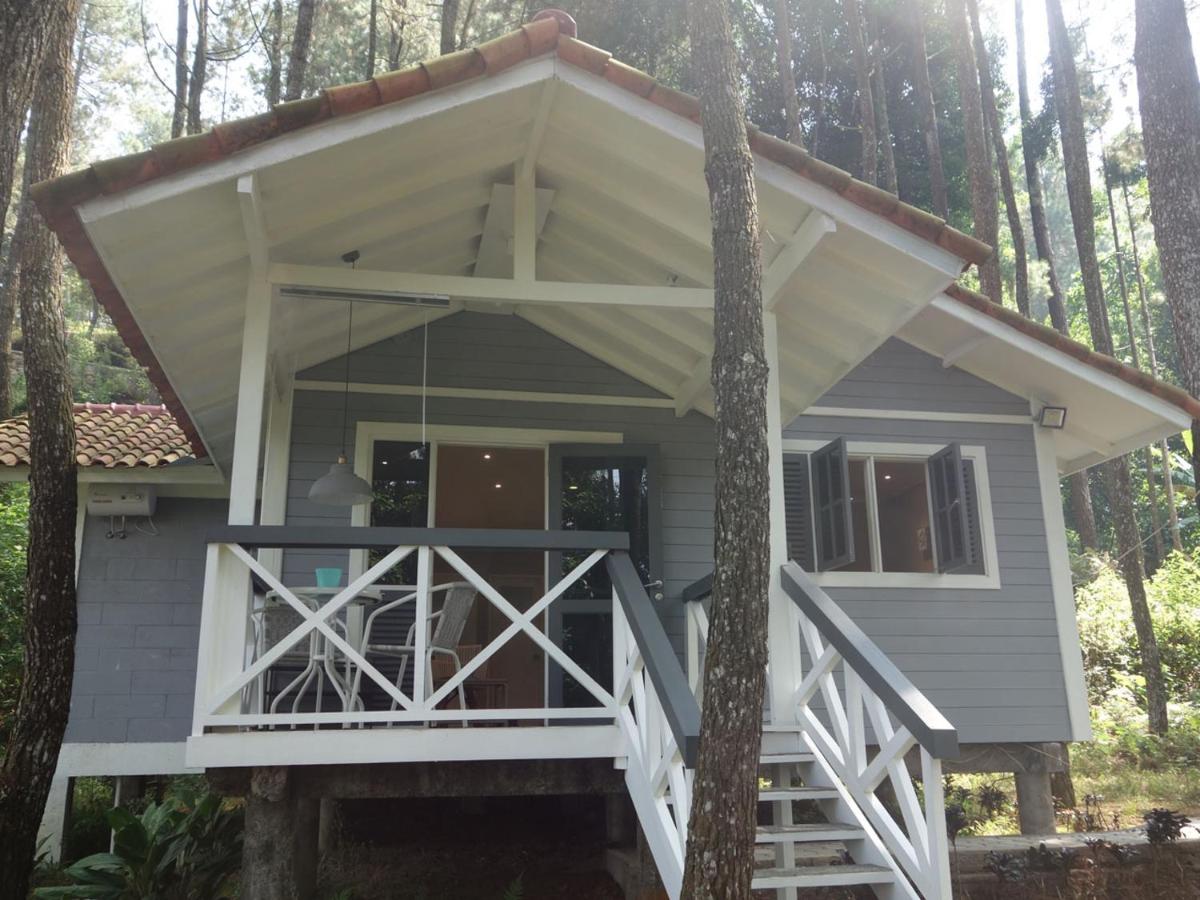The Pine Forest Villas - Housity