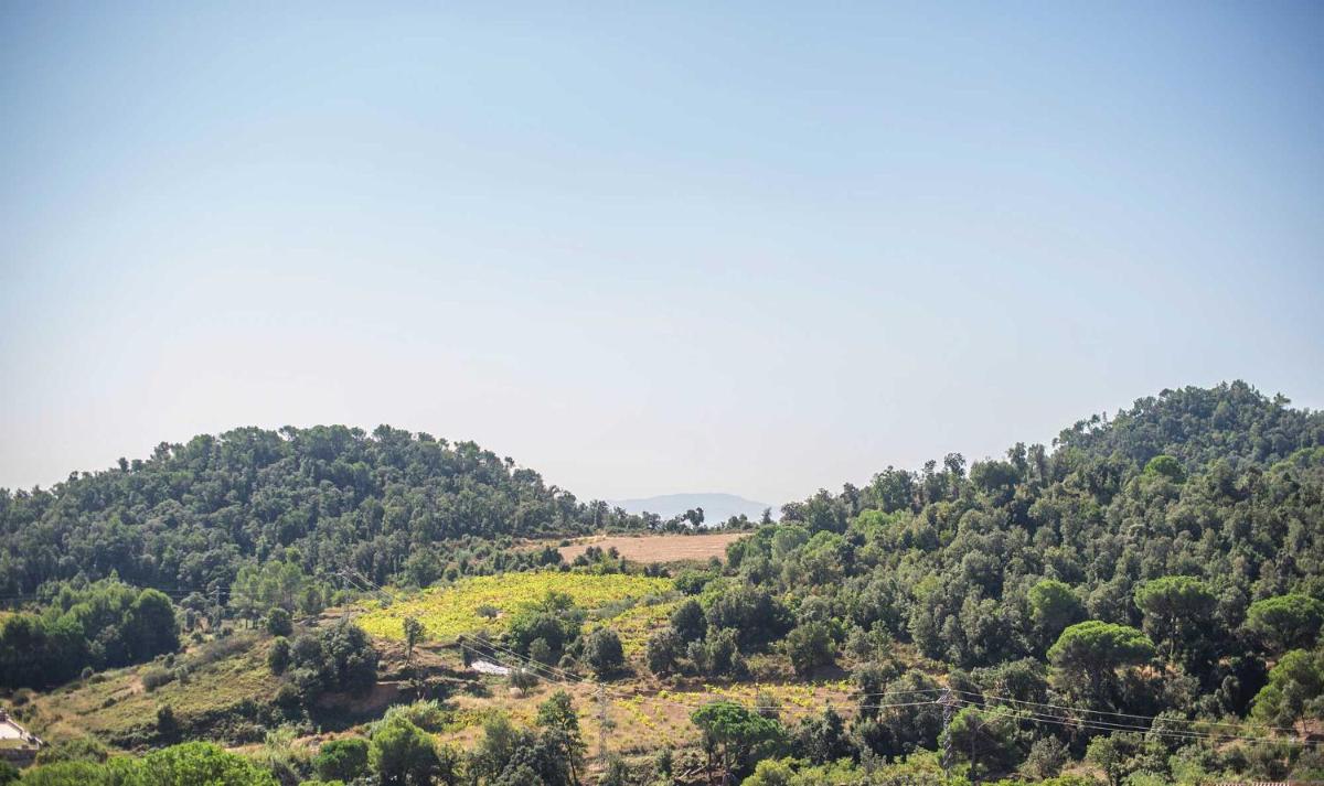 Paisaje cerca de este apartahotel