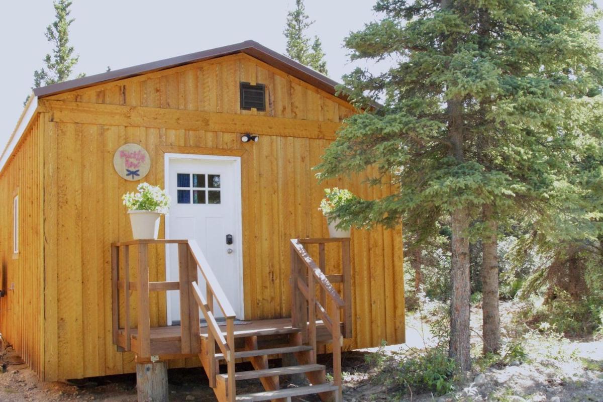 Arctic Dragonfly Inn - Housity