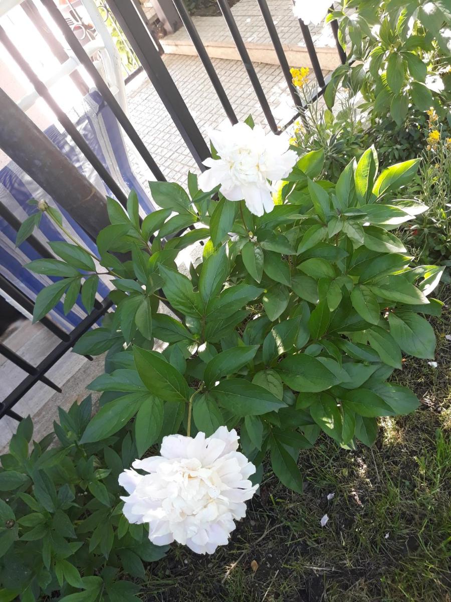 El Giardino delle Rose..... - Housity