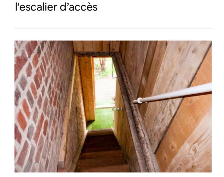 La Chicorée - Housity