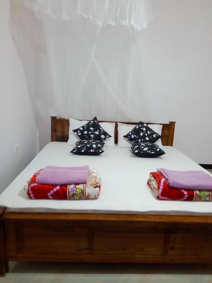 Windy Nest - Housity