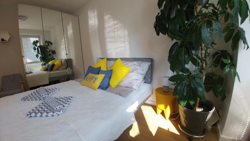 Apartament Centrum - Housity