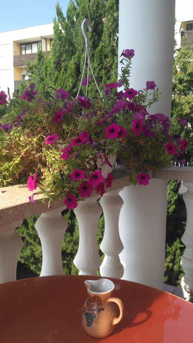 Valloris Apartments - Housity