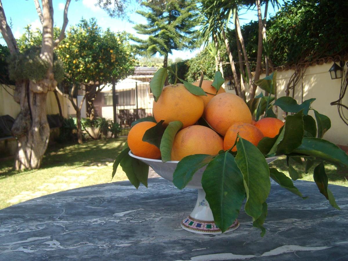 SOLE-Casavilladusoleil - Housity