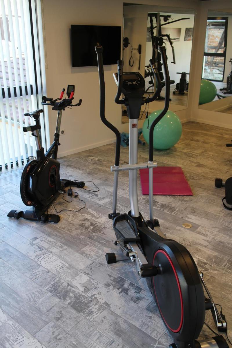 Salle ou équipements de sports de l'établissement Logis Hôtel Restaurant Au Lion Rouge