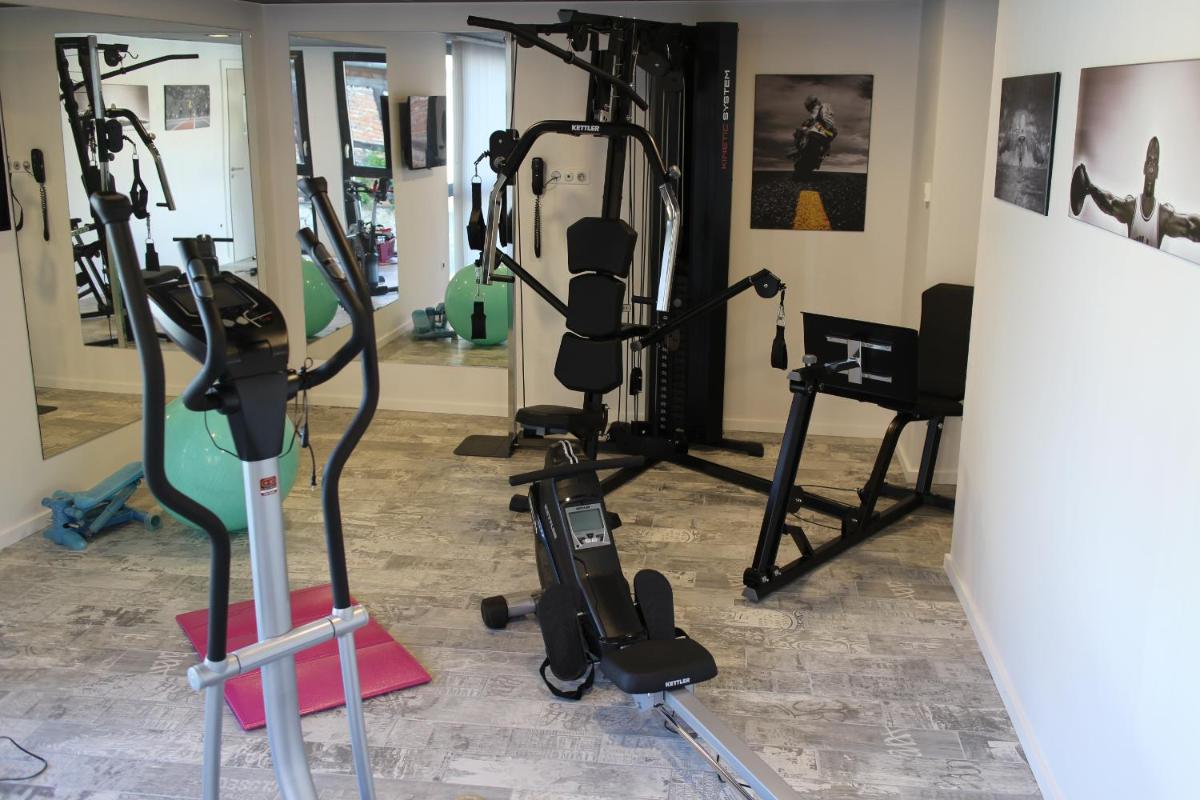 Salle ou équipements de sports de l'établissement Logis Hôtel Restaurant Au Lion Rouge