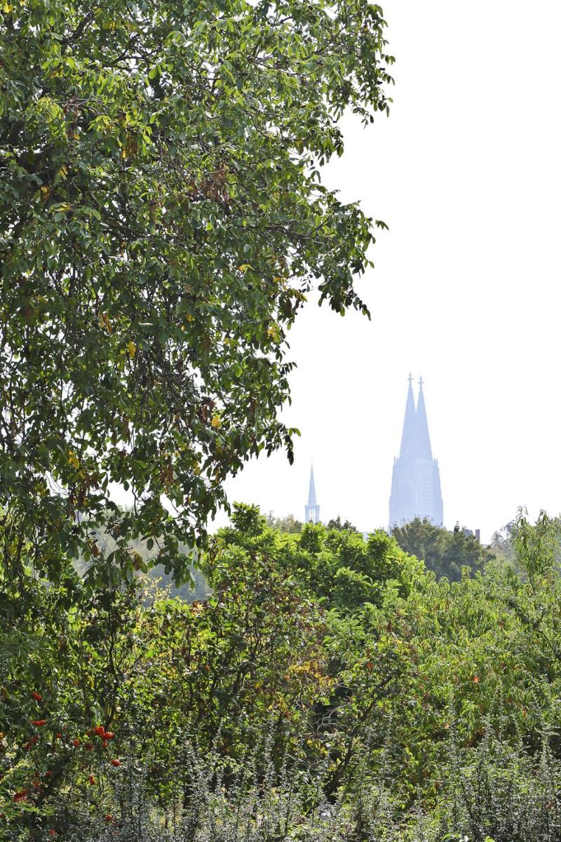 Top Apartments in zentraler Lage - Housity