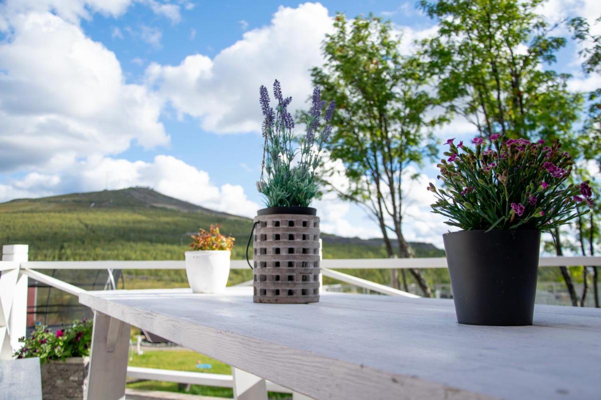 Husky Lodge Hostel - Housity