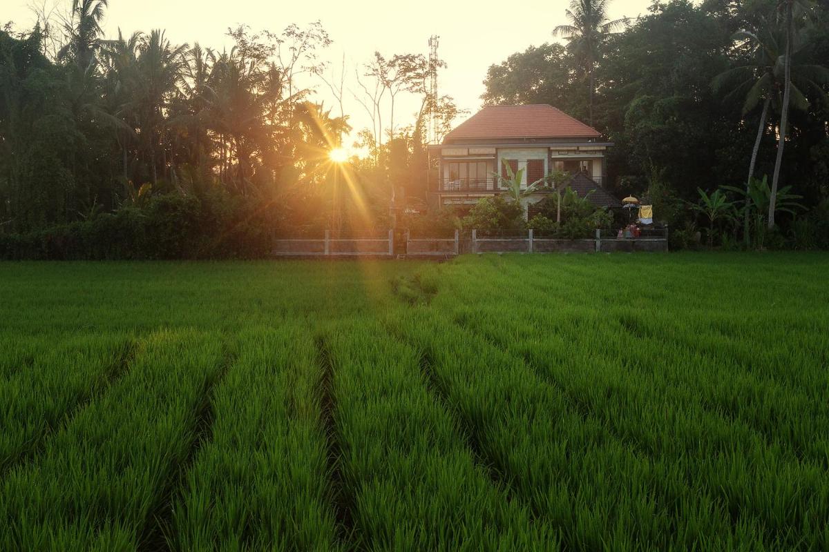 Demank Hidden Guesthouse - Housity