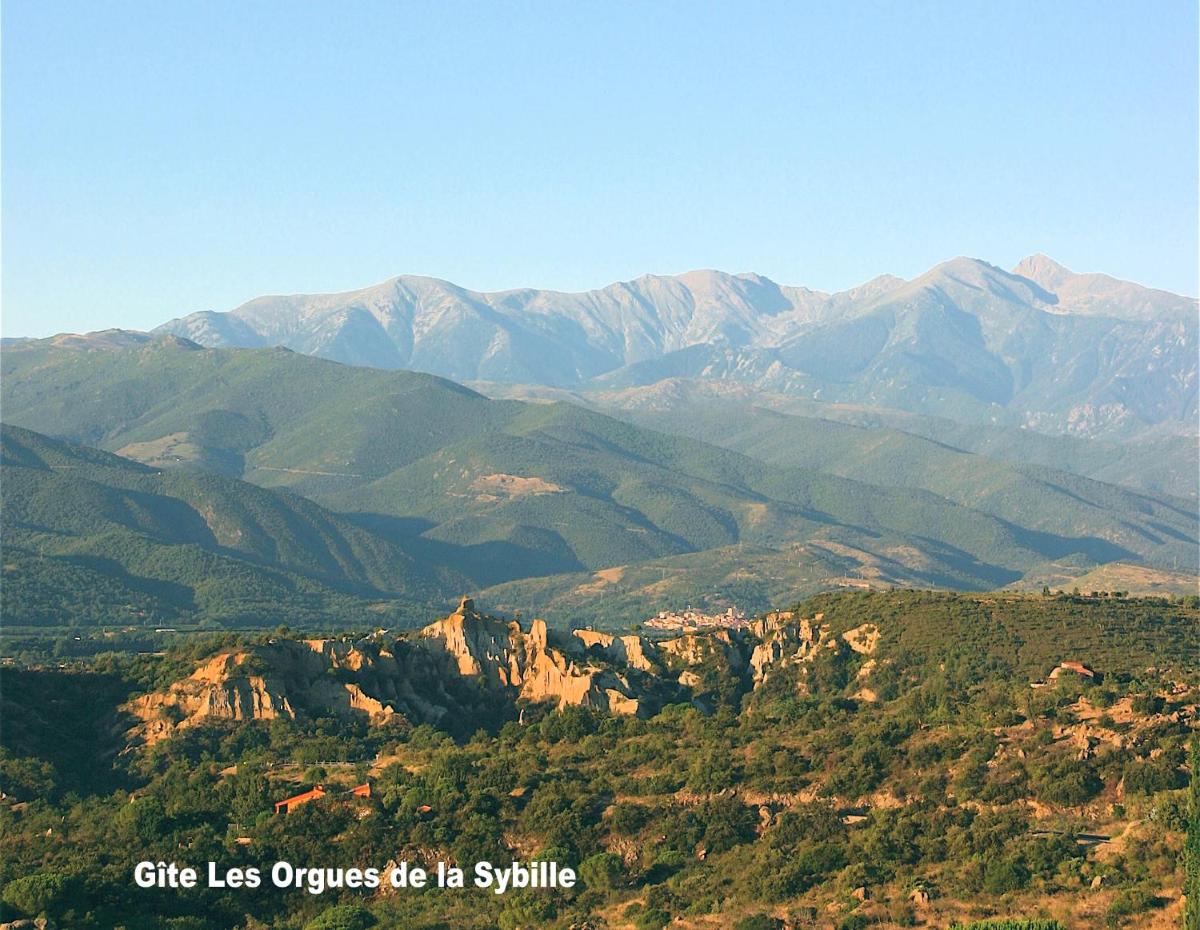 Gîte des Orgues de la Sybille Agave Canigou - Housity