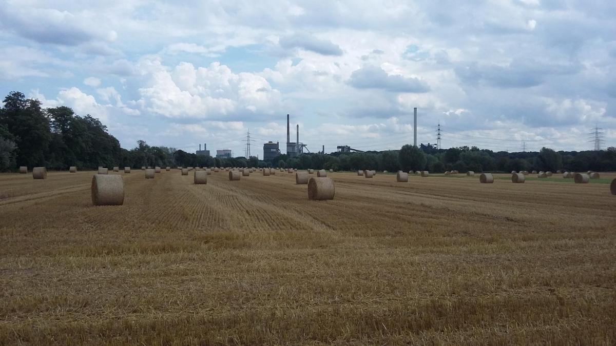Glück Auf! Urlaub und Erholung in Duisburg - Housity