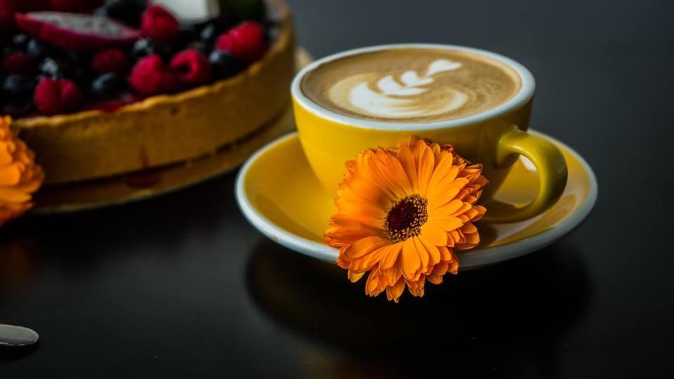 AeroCafe - Housity
