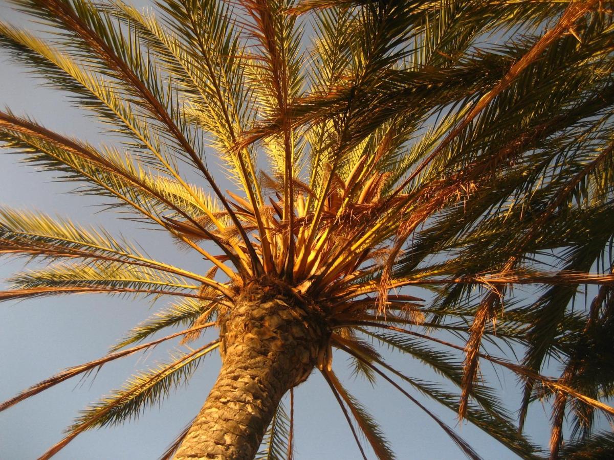Imagen de la galería de Birdcage Gay Men Resort and Lifestyle Hotel, en Playa del Inglés