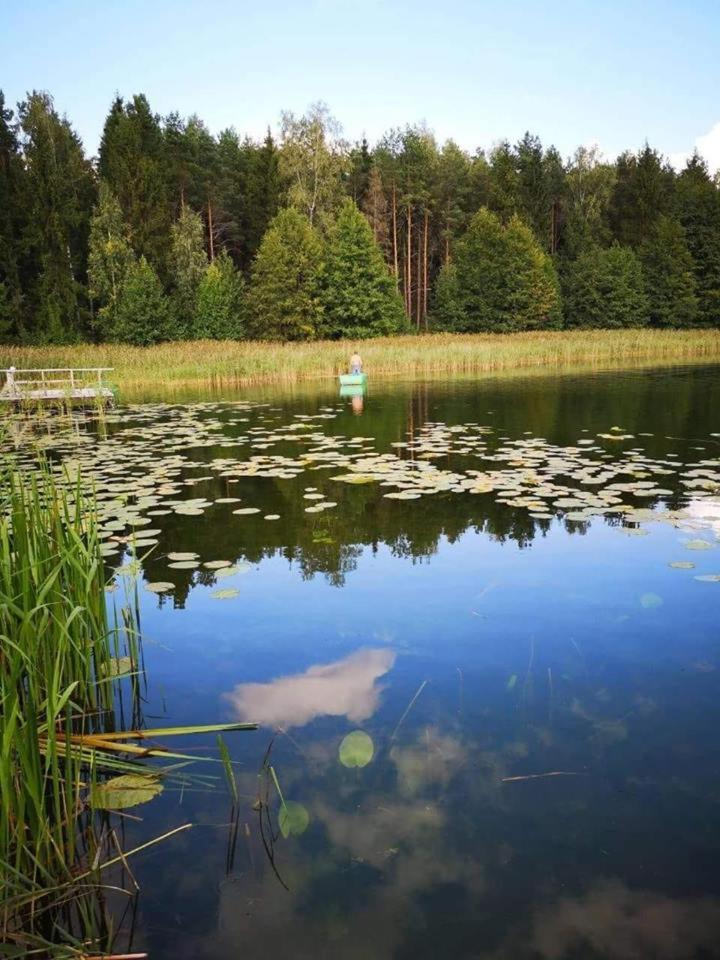 Nijolės sodyba - Housity