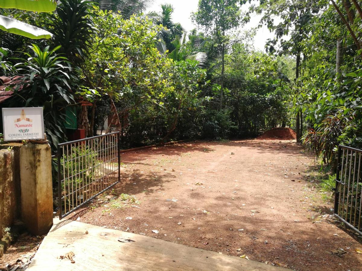 Cordel Farms Mangalore - Housity