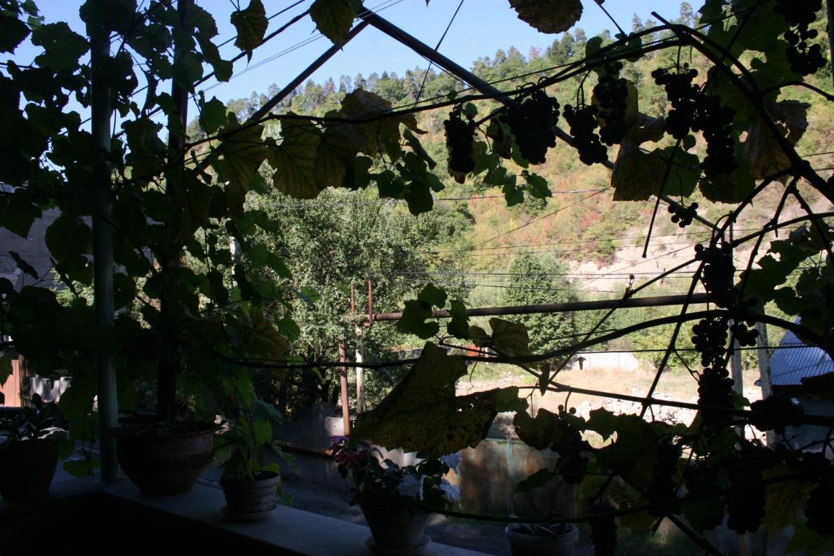 Suitetrails - Guest House Nima