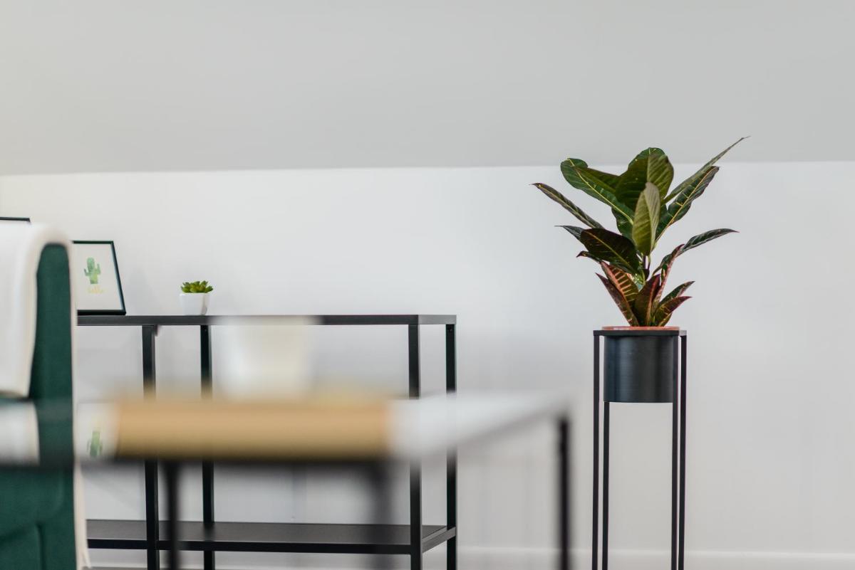 Studio Kopernika - Housity