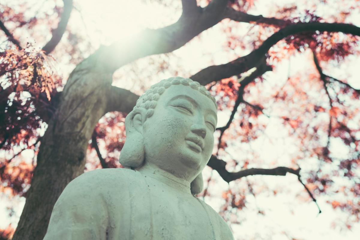 Residence Bianca - Housity