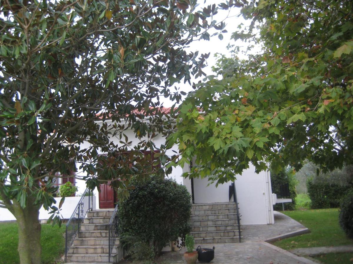 Beautiful Villa in Koukounara - Housity