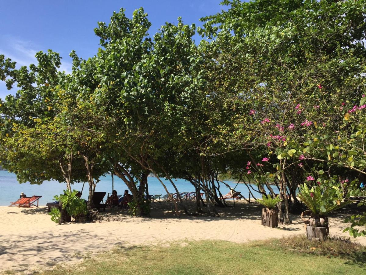 Bangbaobeach Resort - Housity