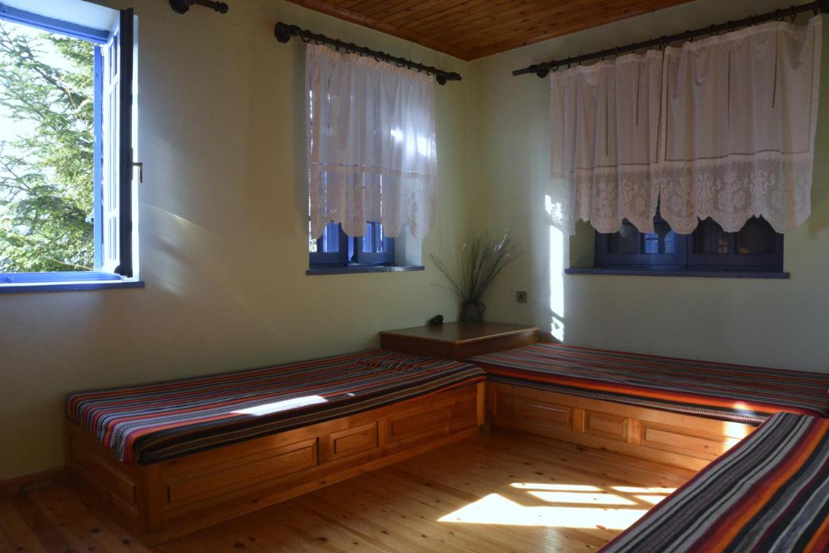 Petroto house - Housity