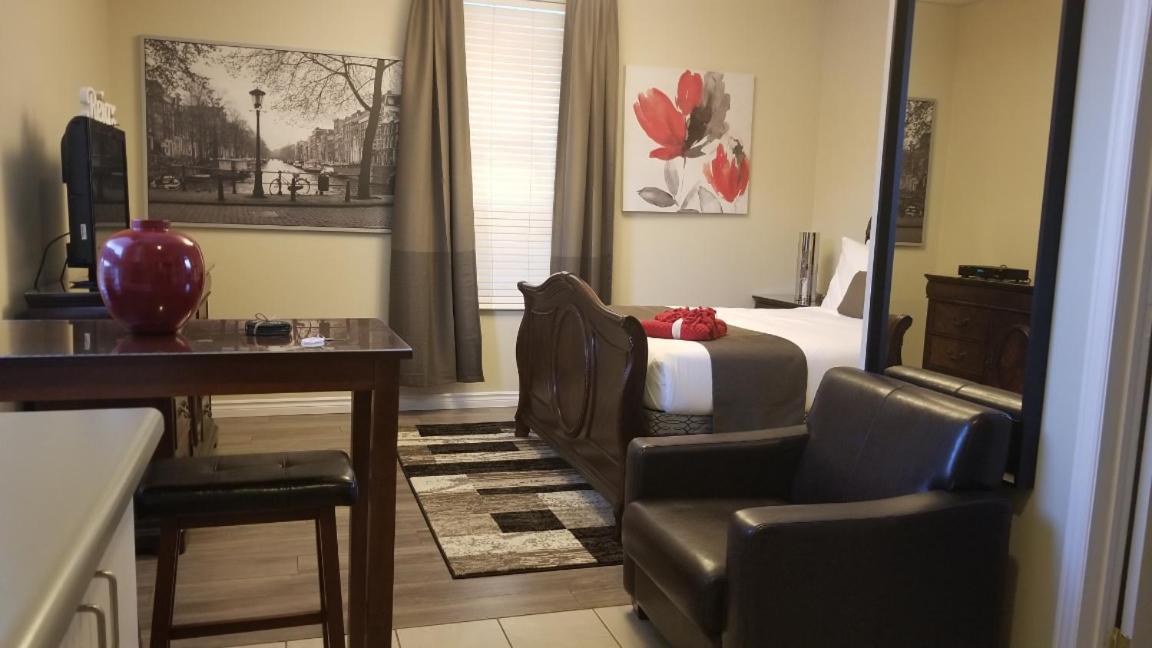 Studio Cozy #12 by Amazing Property Rentals - Housity