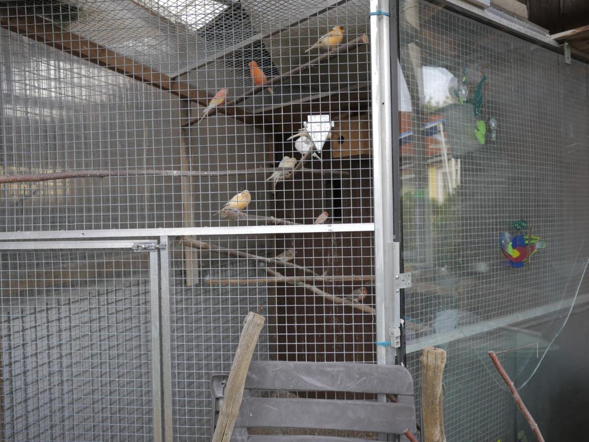Zimmervermietung am Teutoburger Wald - Housity