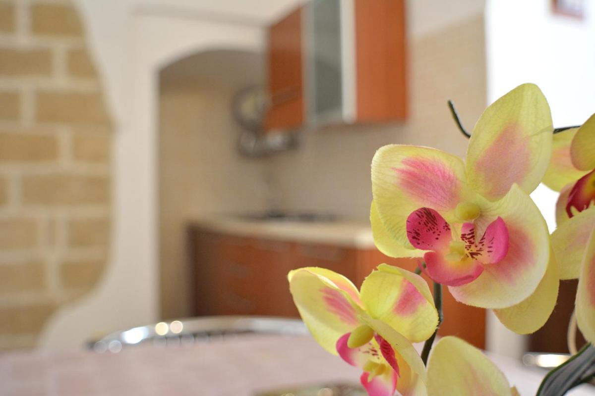Borgo Saraceno - Housity
