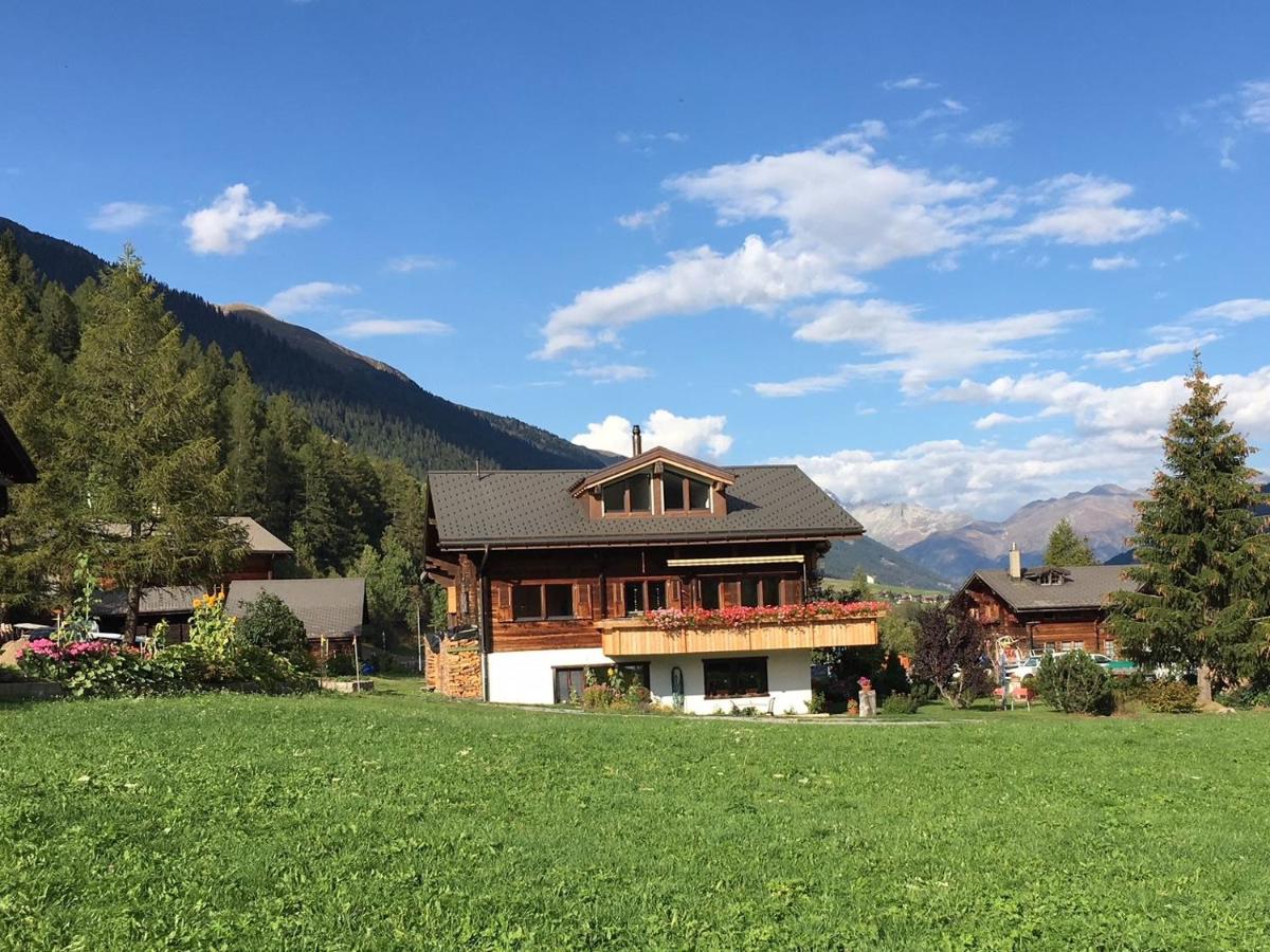 Haus Diezig - Housity