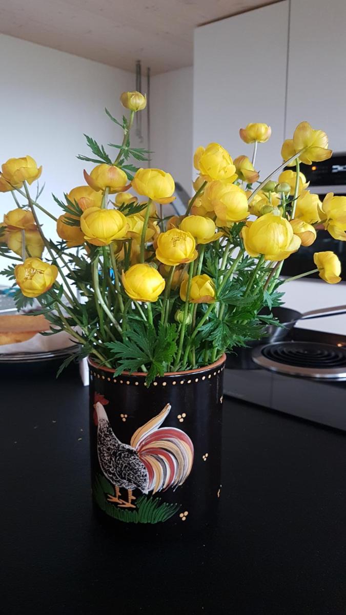 b&b krättli - Housity
