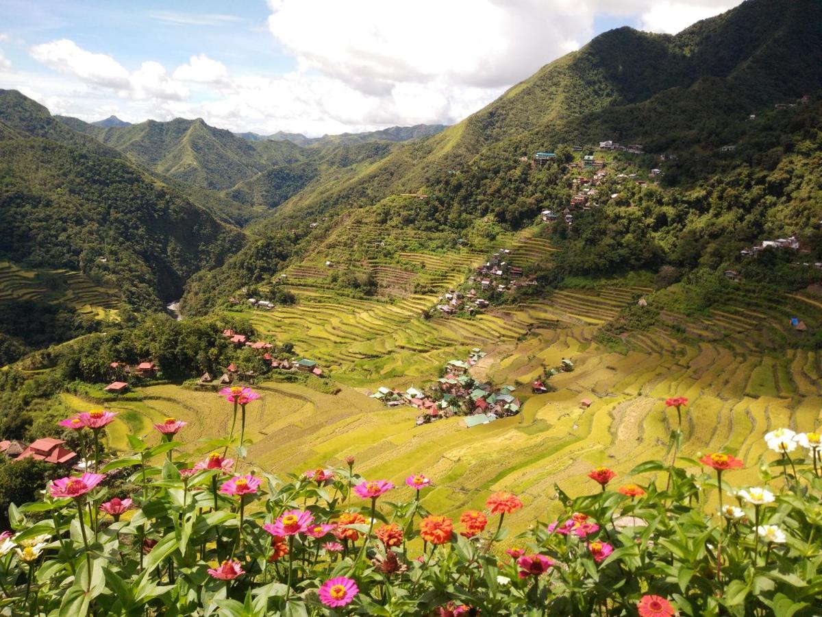Suitetrails - Batad View Inn and Restaurant
