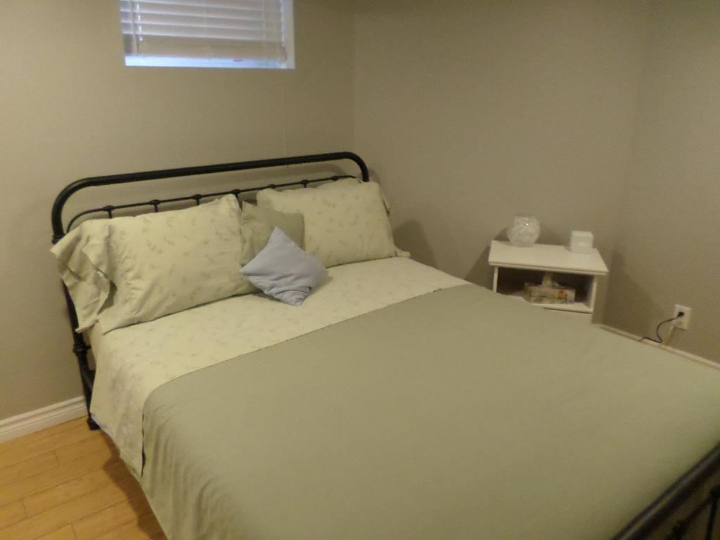 Fantastic and Modern Downtown 1-Bed Basement Apt., parking Wi-Fi and Netflix included - Housity