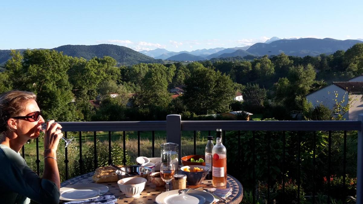 Splendide vue Pyrénées, Rez de jardin 2 chambres - Housity