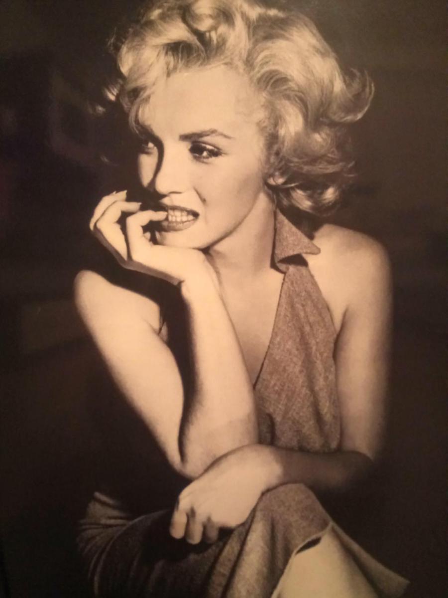 Suitetrails - Marilyn Monroe Apartament Radom