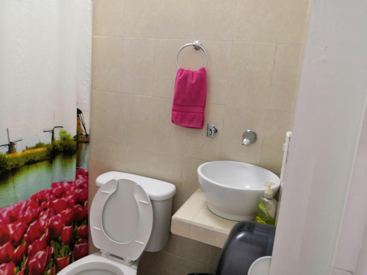 Hostal Maple - Housity