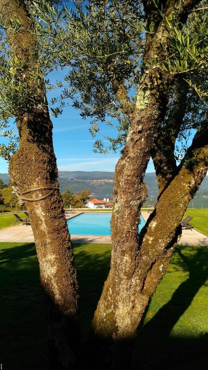 Paisagem natural perto do hotel
